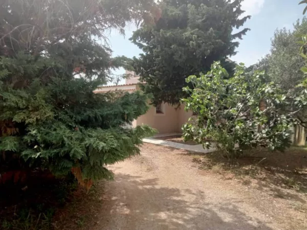 A VENDRE MAISON DE CAMPAGNE T5 - BERRE L'ETANG - Image 4