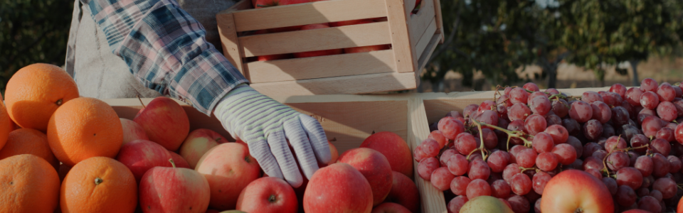 Vente à la ferme